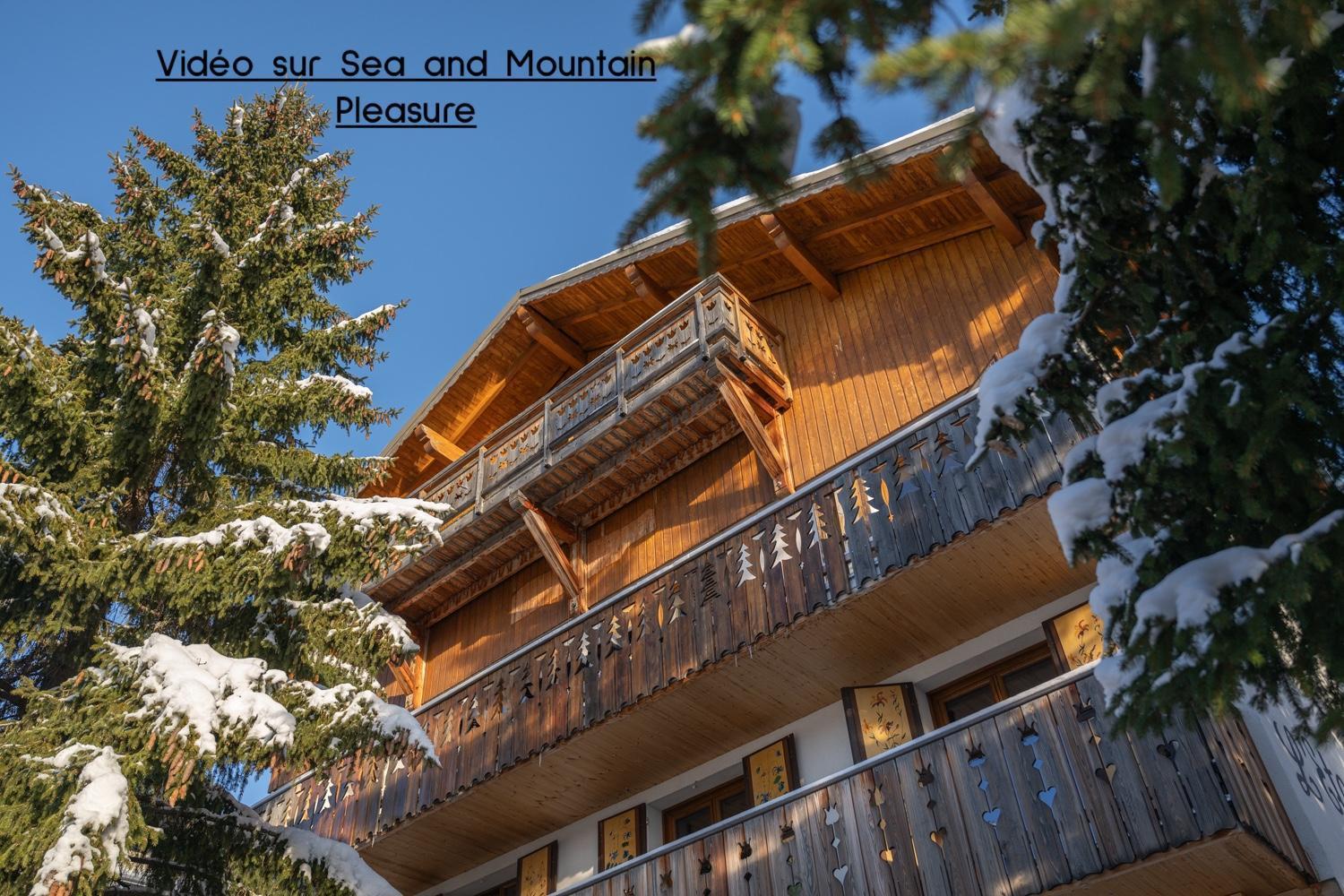 Chalet Alpe D'Huez 1850-Sea And Mountain Pleasure Avec 2 Appartements- 1 Appartement 3 Chambres 8 Couchages - 3 Salles D'Eau Et 1 Appartement 5 Chambres 12 Couchages 5 Salles D'Eau - Jacuzzi Et Sauna -Pieds Des Pistes Et Centre Exterior photo